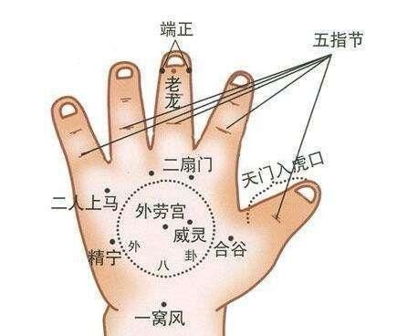 宝宝有点风寒感冒有什么食疗方法图12