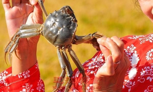 辽宁盘锦都有哪些美食图1