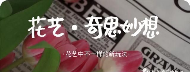 花艺奇思妙想vol.22 | 尤加利叶变身玫瑰花，干花的颜值天花板