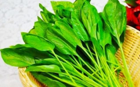 肝不好吃什么食物调理