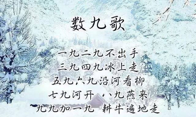立冬第一碗饺子，必是羊肉胡萝卜馅，教你3个关键点，鲜嫩又多汁