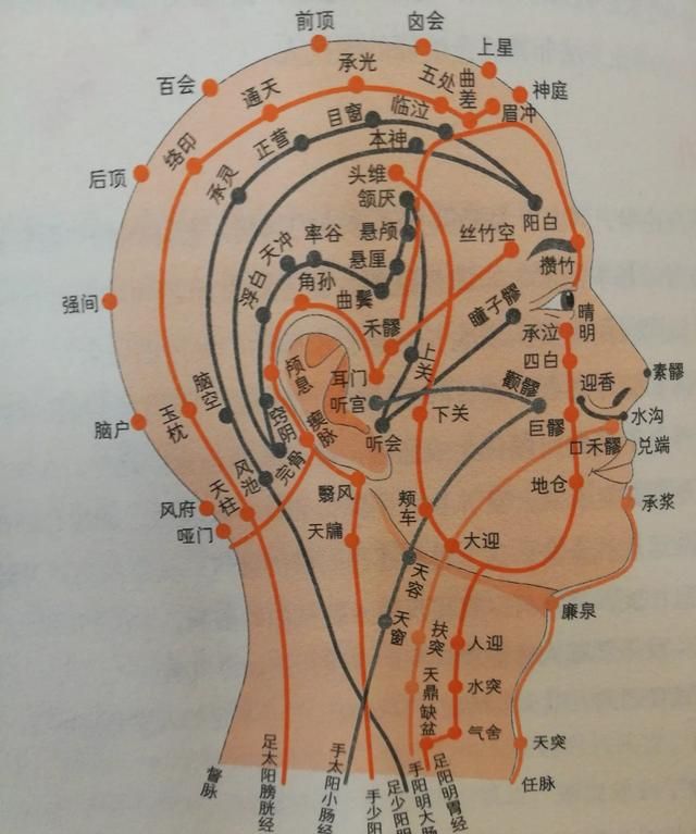 如何保健养生(保健养生文案)图1