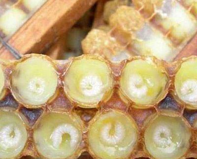 蜂胶食用方法是怎样的,蜂胶酒的食用方法图2