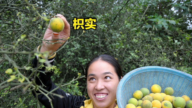 厚朴，祛胃肠道的湿气，消腹部的胀满；医生说：还有一个功效没说