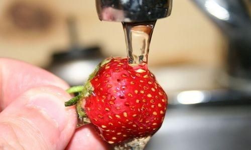 如何正确洗草莓,怎样正确洗草莓图3