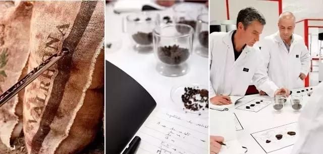 干货分享｜你拿代可可脂与可可脂作对比，你的良心不会痛吗？