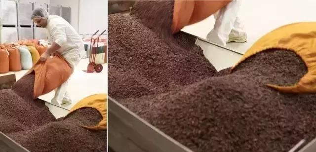 干货分享｜你拿代可可脂与可可脂作对比，你的良心不会痛吗？
