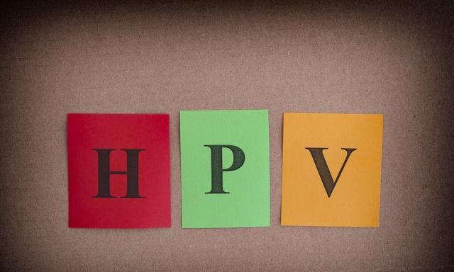 日常中经常听到的HPV、HIV、HSV这三种都是什么？