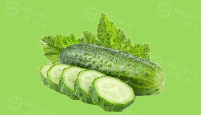 #酶博士健康大讲堂# 黄瓜的种类和营养价值（下）