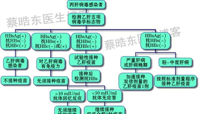 丙肝患者可以注射乙肝疫苗吗图4