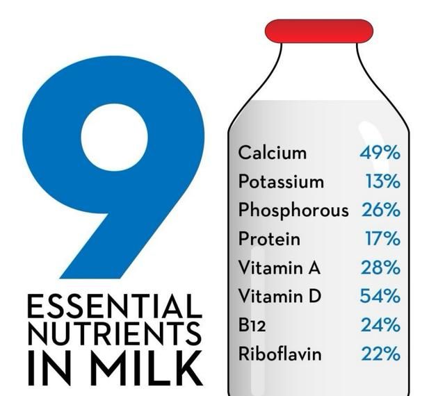 长期喝牛奶会怎么样图2