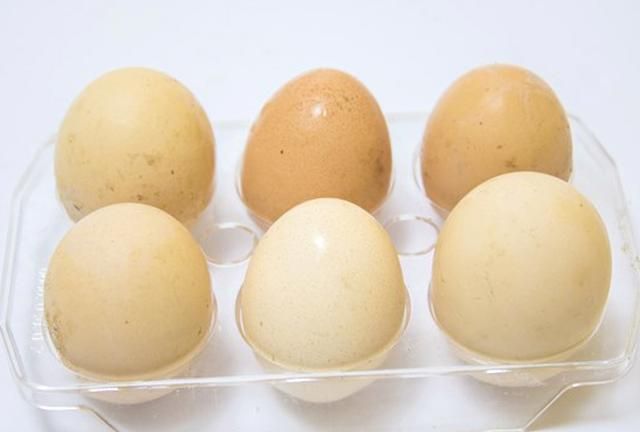 吃鸡蛋时，能不能喝豆浆？鸡蛋豆浆同食会消化不良，这是真的吗？