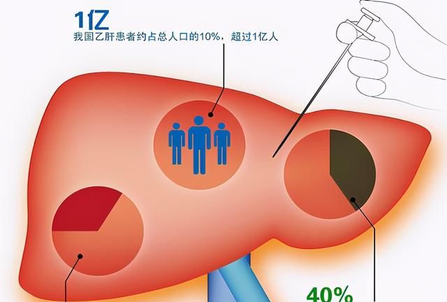 肝病患者不能吃哪些食物图1