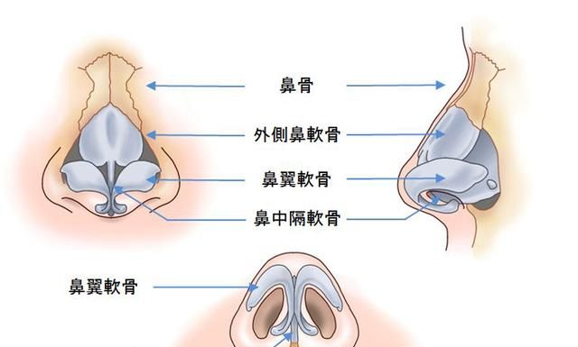 鼻子大是什么原因(找男友要找鼻子大的什么原因)图2