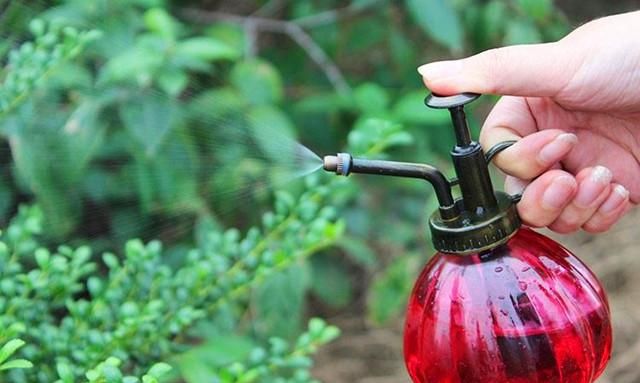 磷酸二氢钾、多菌灵、生根粉，这些常用的花肥、花药你真会用吗？