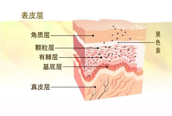 如何增强皮肤的免疫力,怎么增强皮肤免疫力图2