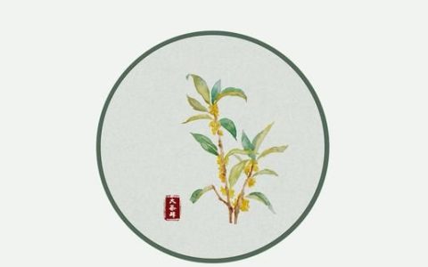 喝红茶还是绿茶好,胖人喝红茶还是绿茶好