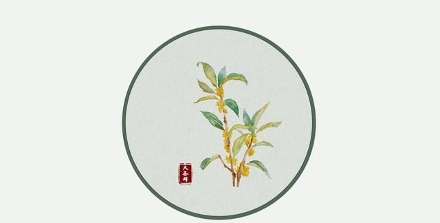 喝红茶还是绿茶好,胖人喝红茶还是绿茶好图1