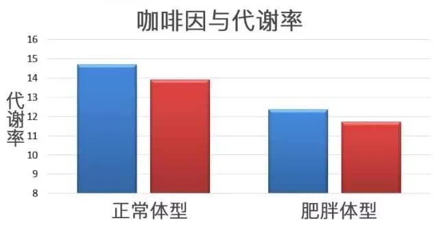 减脂期最不该错过的咖啡，喝错了只会越来越胖