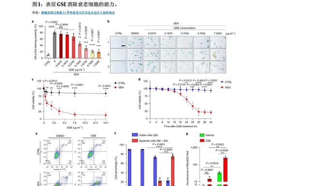 葡萄籽抗衰是智商税？国内研究发现，抗衰克星PCC1藏在其中