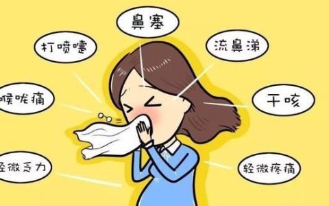 请问感冒吃什么才好(请问感冒了吃什么好得快)