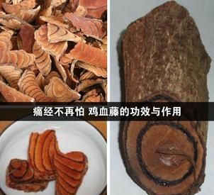 痛经不再怕 鸡血藤的功效与作用