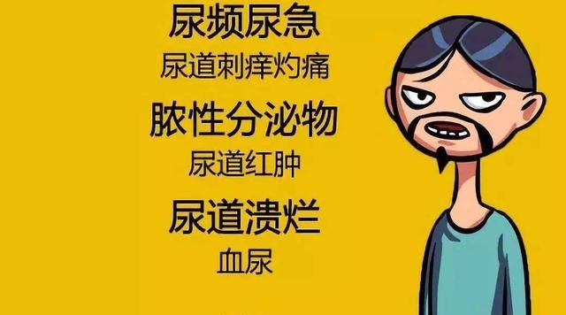 尿道炎是怎样形成的原因,尿道炎都是怎样感染图1