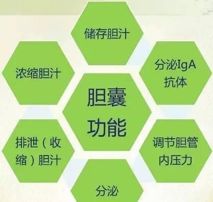有什么治疗胆囊结石的方法推荐图7