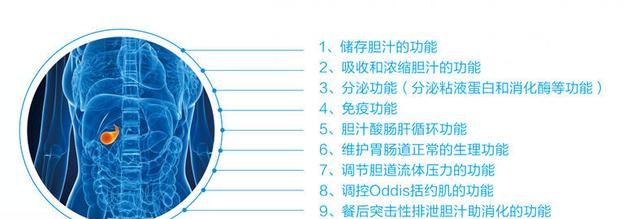 有什么治疗胆囊结石的方法推荐图13