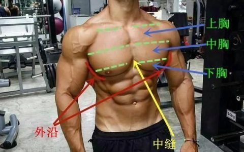 胸肌中缝太宽怎么办(胸肌中缝太宽怎么改善)