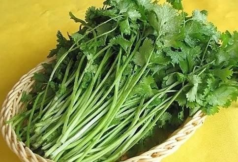 香菜根煮水喝的好处有哪些,香菜根煮水喝有什么作用和功效图1