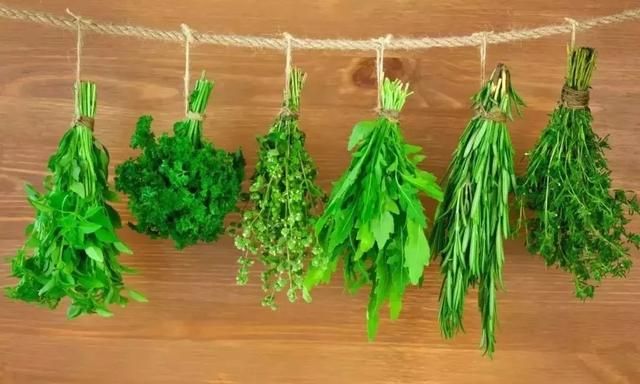 香菜根煮水喝的好处有哪些,香菜根煮水喝有什么作用和功效图3
