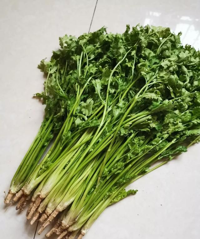 香菜根煮水喝的好处有哪些,香菜根煮水喝有什么作用和功效图5