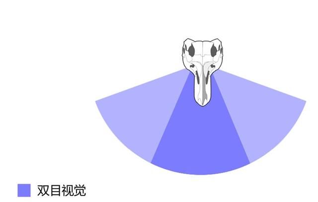 霸王龙厉害在哪图15