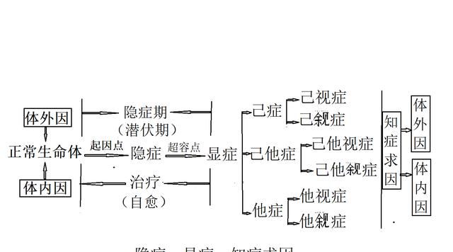 感冒 吃什么，感冒为什么叫感冒呢图1