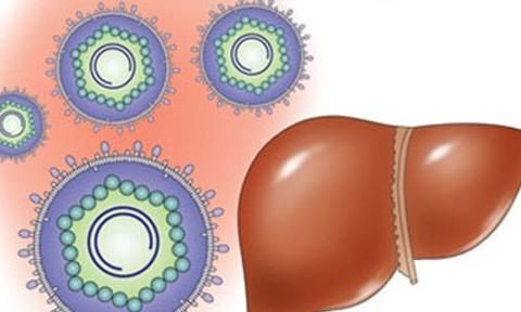 甲肝和乙肝有什么区别图1