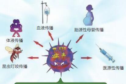 甲肝和乙肝有什么区别图2