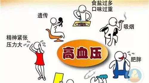 血压高吃什么降压效果最好,血压高最好吃什么降压最好图2