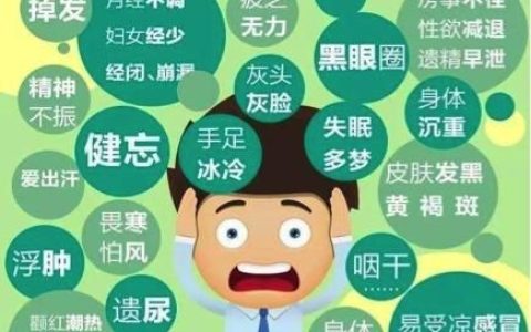 肾阴虚可以吃什么食物
