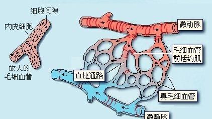 什么是磁疗,什么是磁疗作用图1