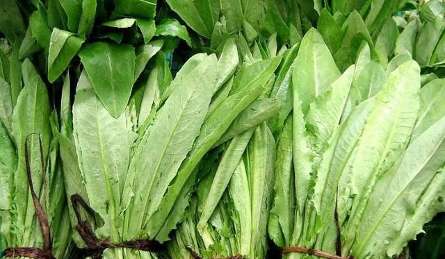 可以补钙的食物有哪些(用什么方法可以快速的补钙)图7