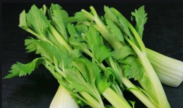 可以补钙的食物有哪些(用什么方法可以快速的补钙)图8