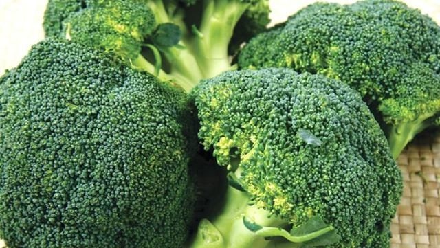 可以补钙的食物有哪些(用什么方法可以快速的补钙)图9