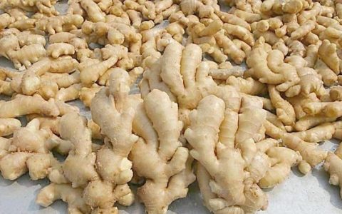 炒姜再煲姜醋有什么功效,甜醋煲姜有什么作用