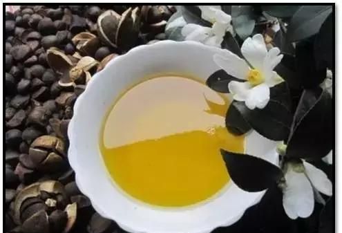 橄榄油和山茶油可以护肤吗？皮肤科医生从根源上说清楚