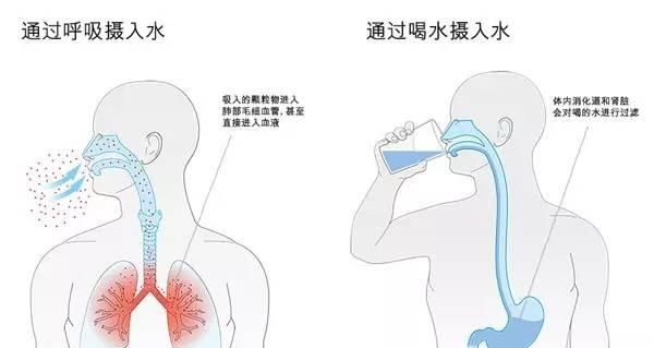 要不要用加湿器，先看完这篇你再决定！