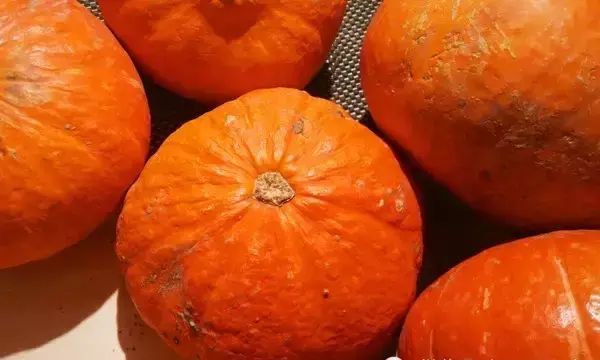这四种瓜吃了就能解暑,南瓜清凉解毒图1