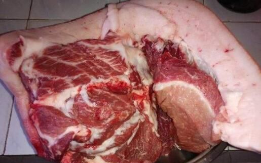 贫血吃什么食物补血最快图6