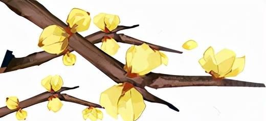 冻得瑟瑟发抖，受凉、咳嗽，赶紧来一碗解表散寒汤