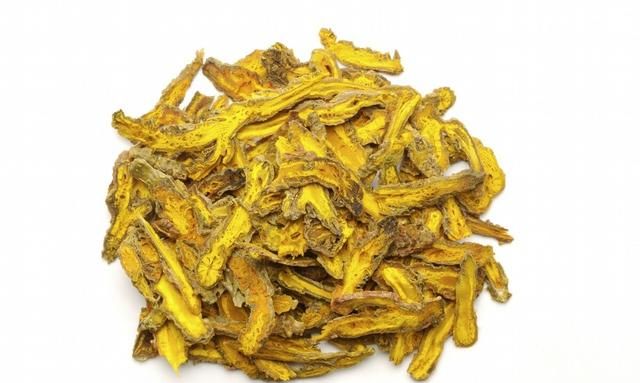 每天一味中药一黄连